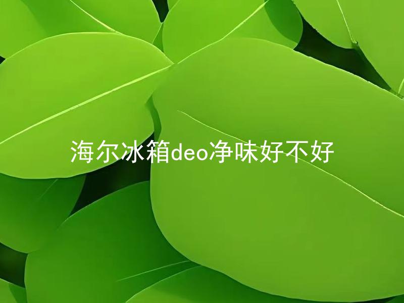 海尔冰箱deo净味好不好 海尔冰箱deo净味需要经常清洗吗？