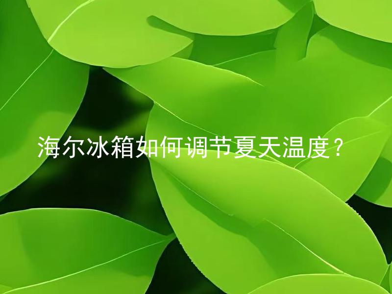 海尔冰箱如何调节夏天温度？ 为什么夏天需要调节海尔冰箱温度？
