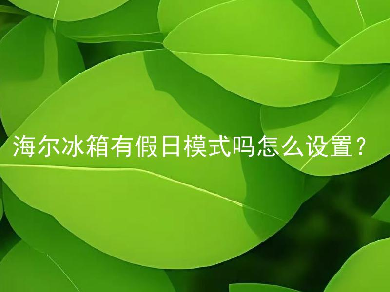 海尔冰箱有假日模式吗怎么设置？ 海尔冰箱假日模式有什么作用，如何正确设置？