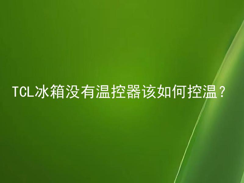 TCL冰箱没有温控器该如何控温？ TCL冰箱没有温控器可以用什么方法达到理想温度？