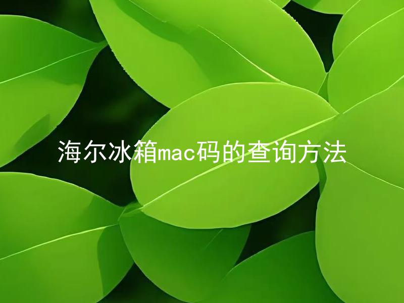海尔冰箱mac码的查询方法 海尔冰箱mac码在哪里可以找到？