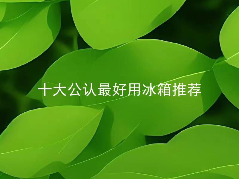 十大公认最好用冰箱推荐 十大公认最好用冰箱推荐，如何挑选最适合自己的冰箱？