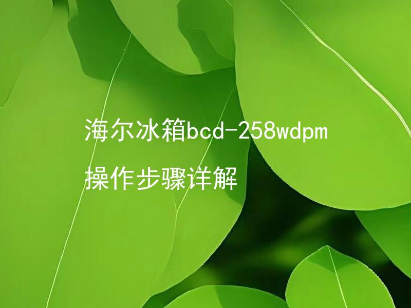 海尔冰箱bcd-258wdpm操作步骤详解 海尔冰箱bcd-258wdpm如何使用？