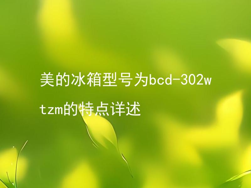 美的冰箱型号为bcd-302wtzm的特点详述 美的冰箱型号为bcd-302wtzm的购买注意事项有哪些？