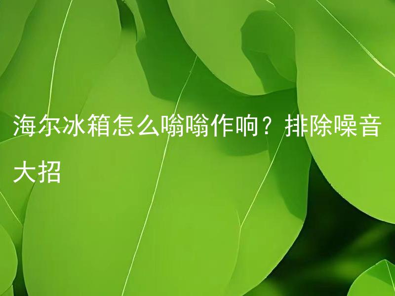 海尔冰箱怎么嗡嗡作响？排除噪音大招 如何判断海尔冰箱嗡嗡声是否正常？如何排除海尔冰箱嗡嗡声过大问题？