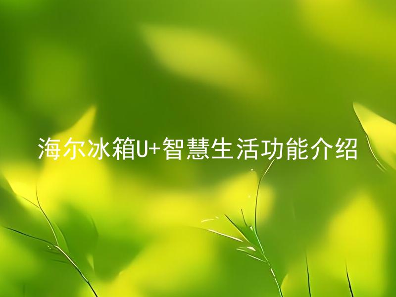 海尔冰箱U+智慧生活功能介绍 海尔冰箱U+智慧生活功能有哪些？