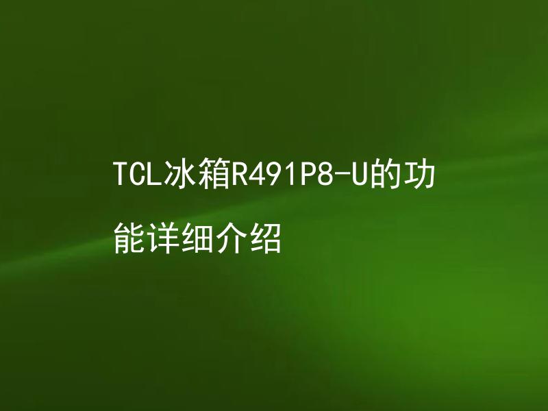 TCL冰箱R491P8-U的功能详细介绍 TCL冰箱R491P8-U的节能性能如何？