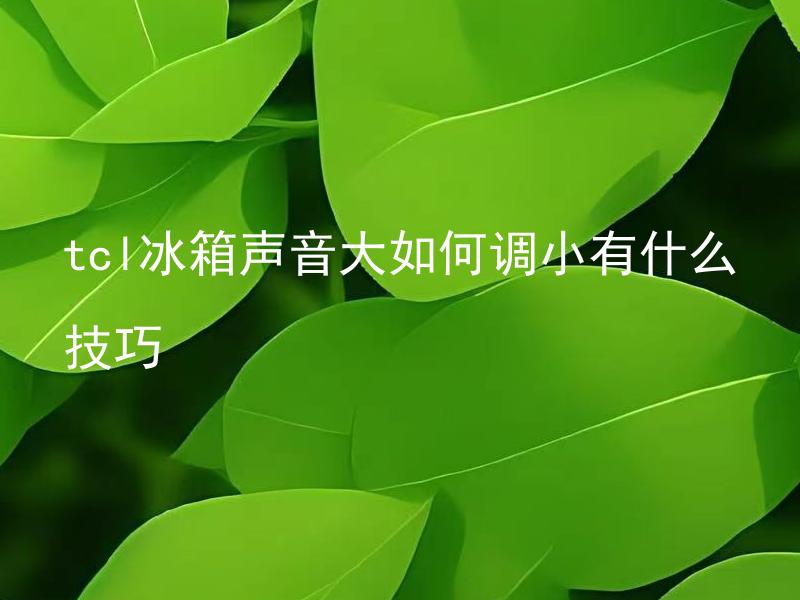 tcl冰箱声音大如何调小有什么技巧 如何通过调整TCL冰箱的结构降低噪音？