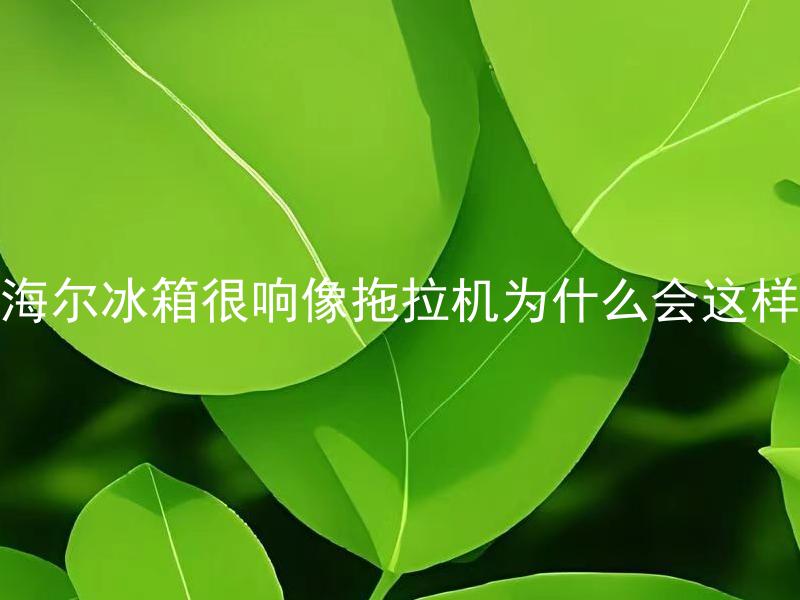 海尔冰箱很响像拖拉机为什么会这样 海尔冰箱响声大如何处理？