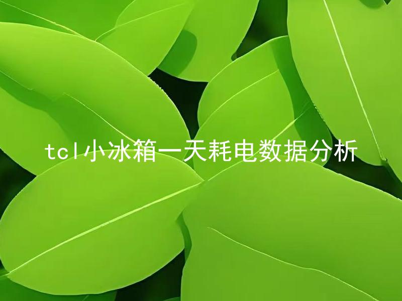 tcl小冰箱一天耗电数据分析 TCL小冰箱的一天耗电数据高吗？