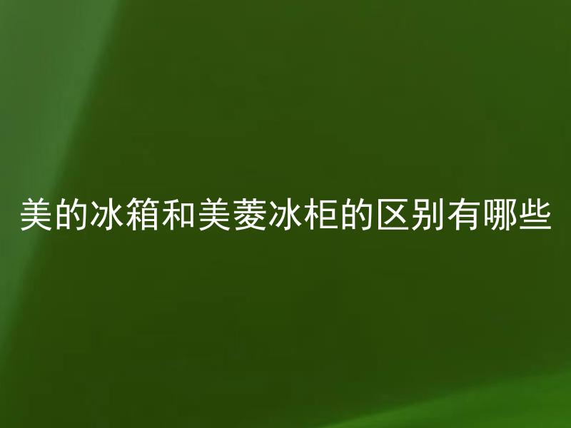 美的冰箱和美菱冰柜的区别有哪些 美的冰箱和美菱冰柜的性能差异在哪些方面体现？