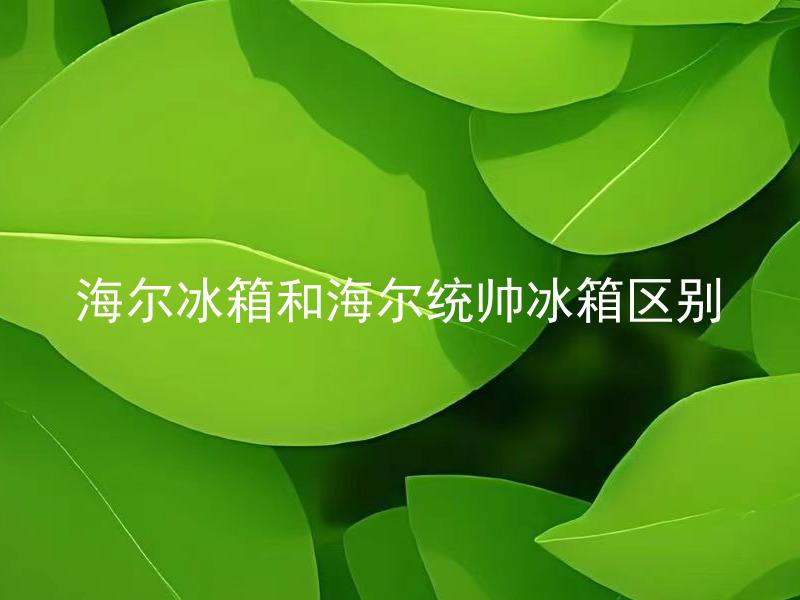海尔冰箱和海尔统帅冰箱区别 海尔冰箱和海尔统帅冰箱有哪些设计上的主要区别？