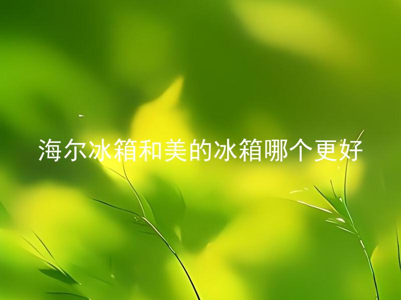 海尔冰箱和美的冰箱哪个更好 选购冰箱时，海尔冰箱和美的冰箱有何区别？如何选择更适合自己的冰箱？