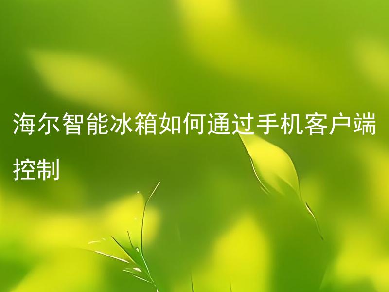 海尔智能冰箱如何通过手机客户端控制 海尔智能冰箱的手机客户端控制方式有哪些？