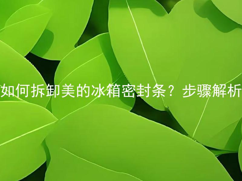 如何拆卸美的冰箱密封条？步骤解析 如何更换美的冰箱密封条？步骤解析