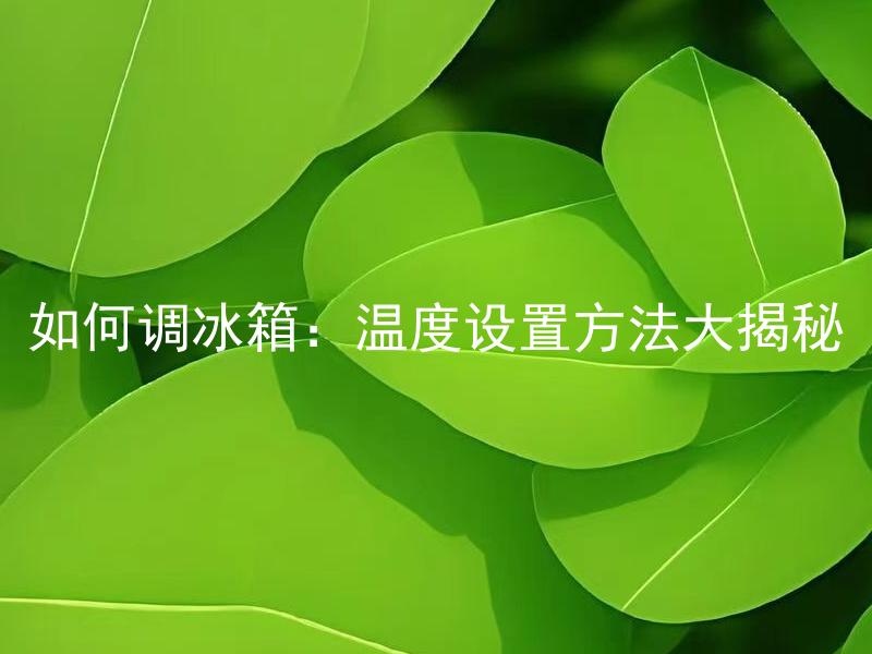 如何调冰箱：温度设置方法大揭秘