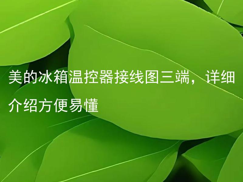 美的冰箱温控器接线图三端，详细介绍方便易懂