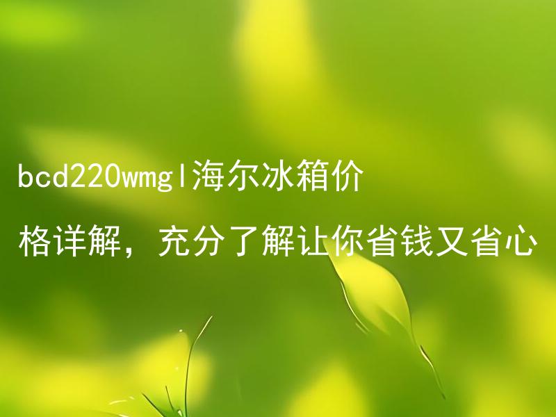 bcd220wmgl海尔冰箱价格详解，充分了解让你省钱又省心 海尔bcd220wmgl冰箱的多功能有哪些？