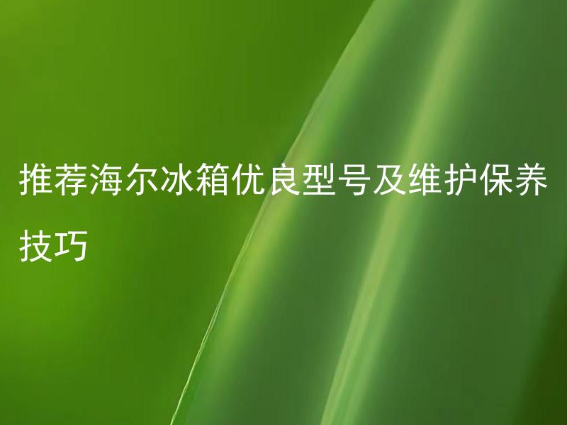 推荐海尔冰箱优良型号及维护保养技巧
