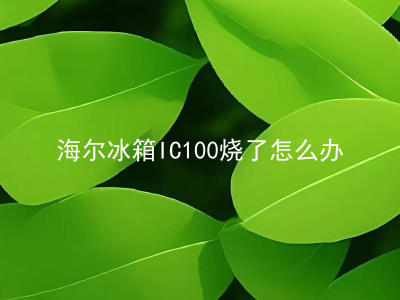 海尔冰箱IC100烧了怎么办 海尔冰箱IC100为什么会烧？如何避免IC100烧坏？