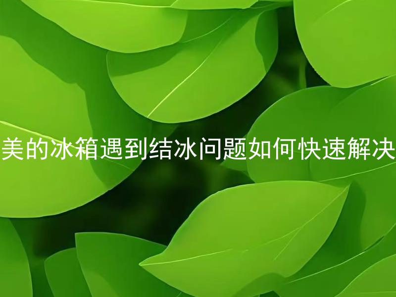 美的冰箱遇到结冰问题如何快速解决 美的冰箱结冰严重会对食物存储产生什么影响？