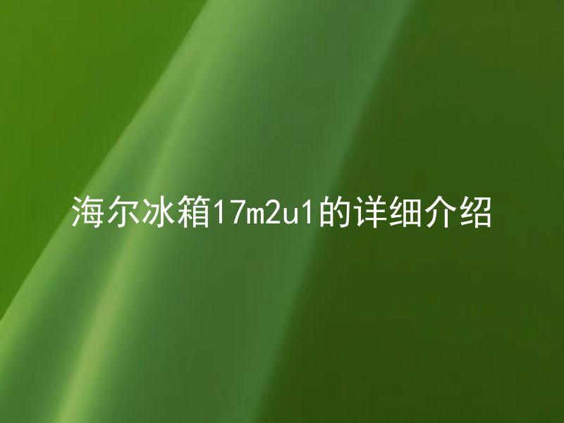 海尔冰箱17m2u1的详细介绍 海尔冰箱17m2u1有哪些特点和功能？