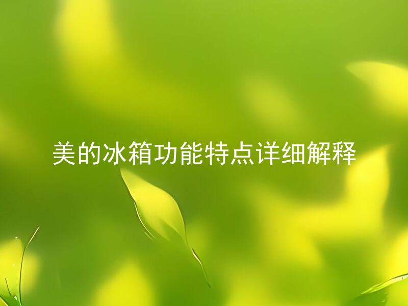 美的冰箱功能特点详细解释 美的冰箱有哪些常见使用问题需要注意？
