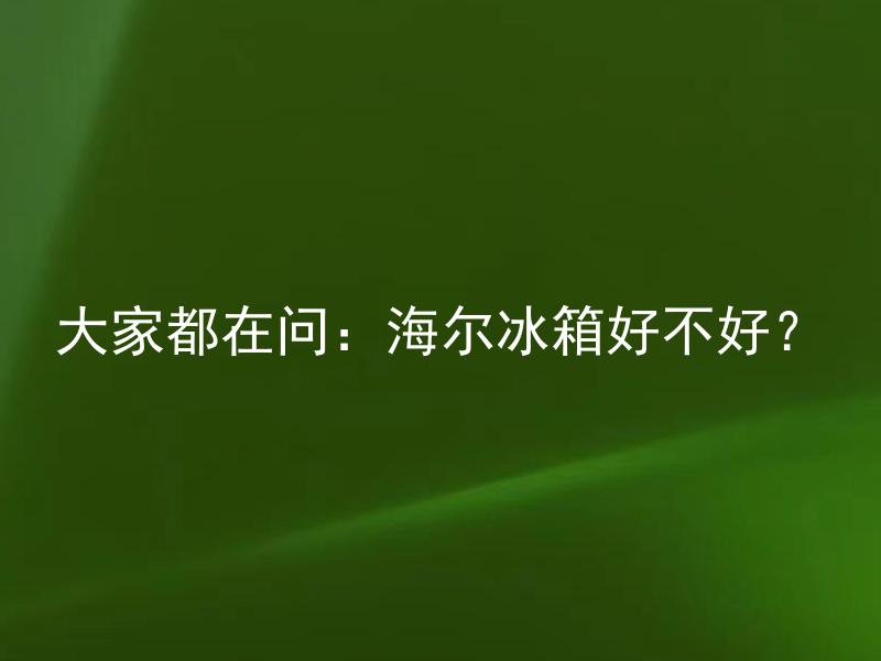 大家都在问：海尔冰箱好不好？ 选择海尔冰箱存在哪些优劣势？