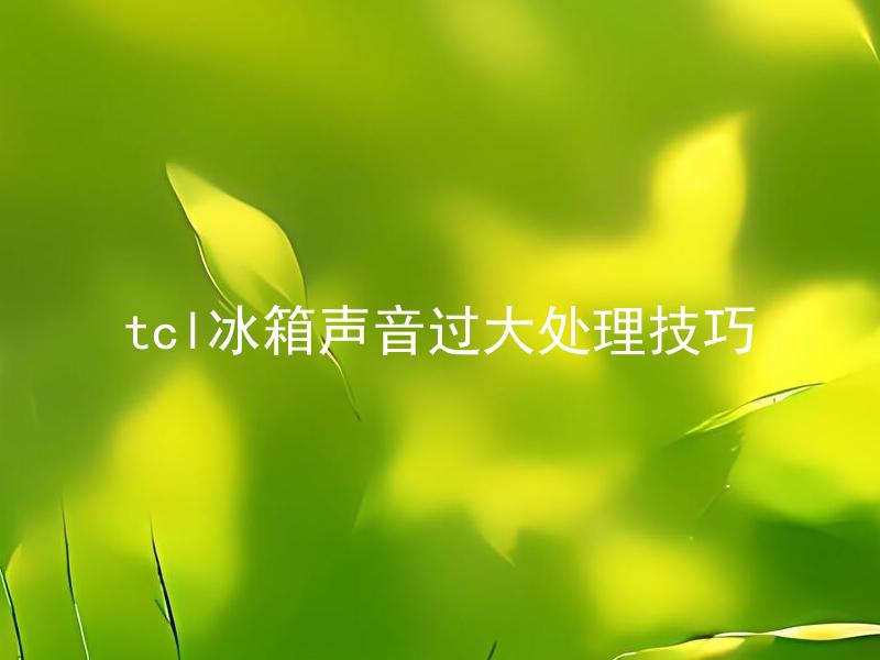 tcl冰箱声音过大处理技巧 怎样降低TCL冰箱噪音？