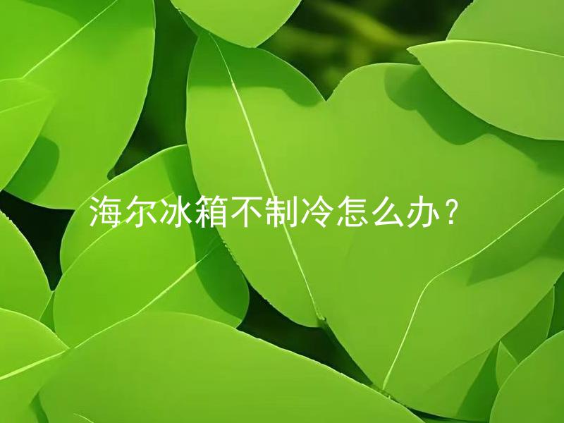 海尔冰箱不制冷怎么办？ 海尔冰箱不制冷是否需要专业维修？