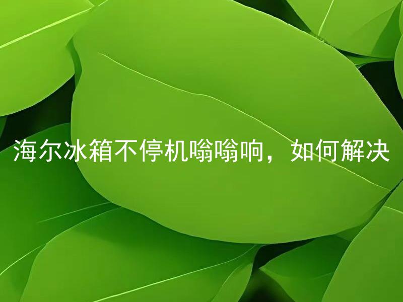 海尔冰箱不停机嗡嗡响，如何解决 海尔冰箱不停机嗡嗡响，是否会对食材保存造成影响？