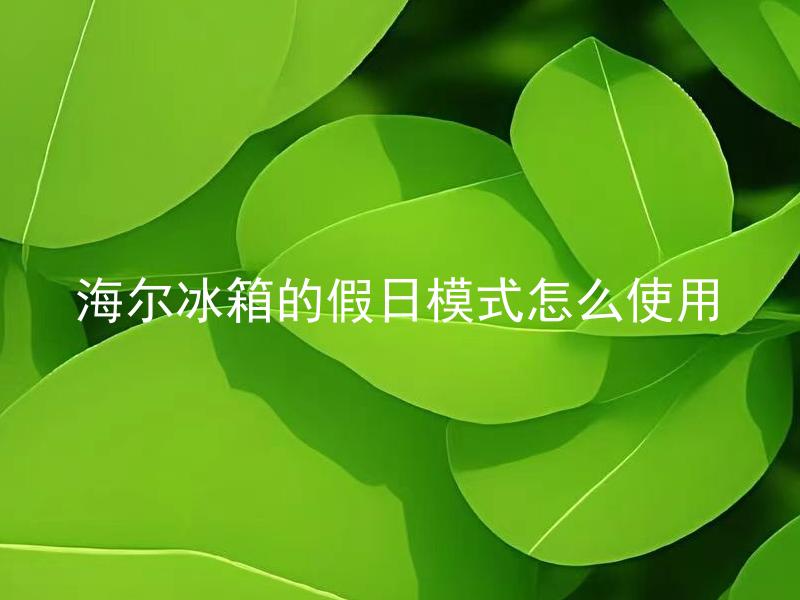 海尔冰箱的假日模式怎么使用 海尔冰箱假日模式会对食物产生影响吗？