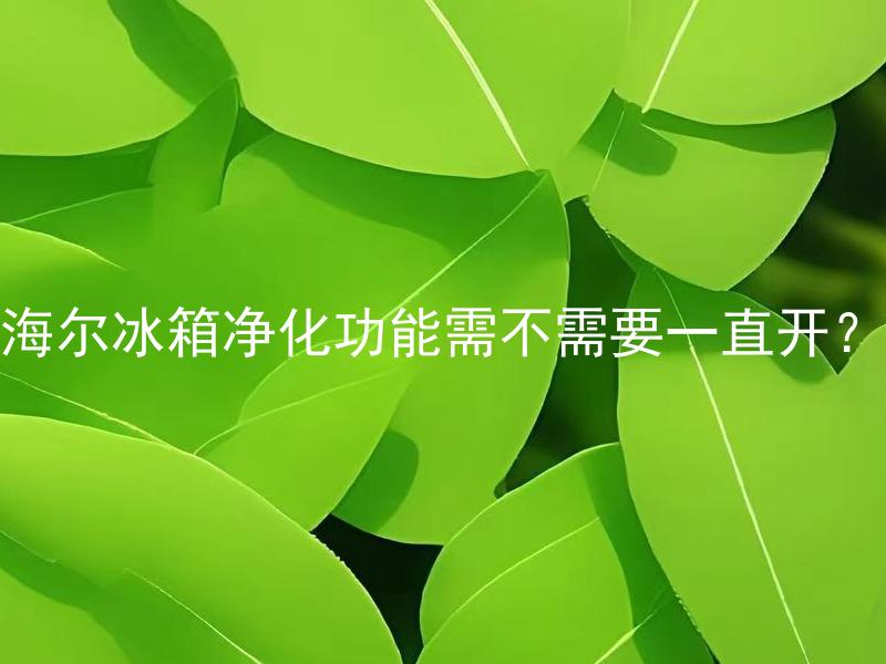 海尔冰箱净化功能需不需要一直开？ 海尔冰箱净化功能什么时候开更有效？