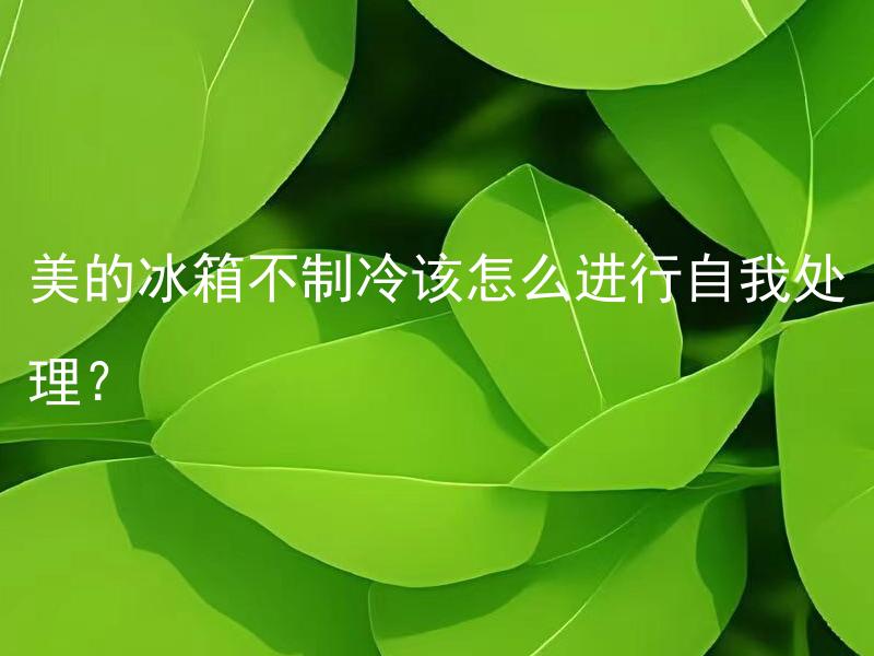美的冰箱不制冷该怎么进行自我处理？ 美的冰箱仍然不制冷时，如何进行进一步排查与解决？