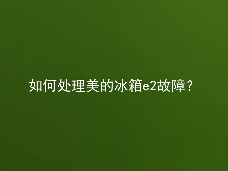 如何处理美的冰箱e2故障？ 美的冰箱总共有哪些常见故障？