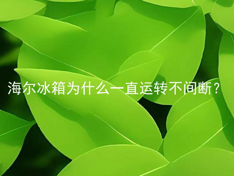 海尔冰箱为什么一直运转不间断？ 海尔冰箱一直运转不间断会对冰箱产生什么影响？