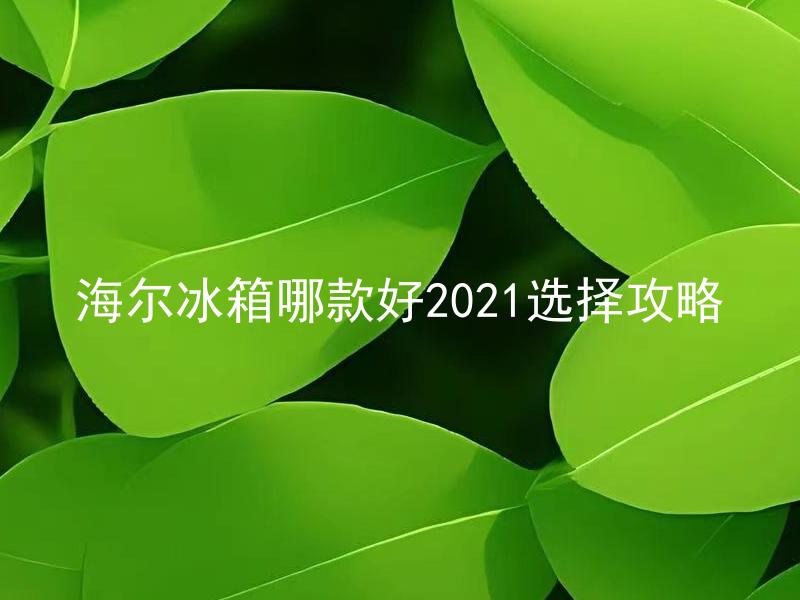海尔冰箱哪款好2021选择攻略 海尔冰箱哪些是2021年市场上主推产品？