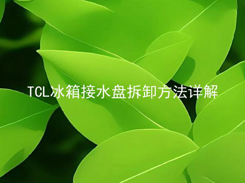 TCL冰箱接水盘拆卸方法详解 TCL冰箱接水盘怎样拆卸清洗？