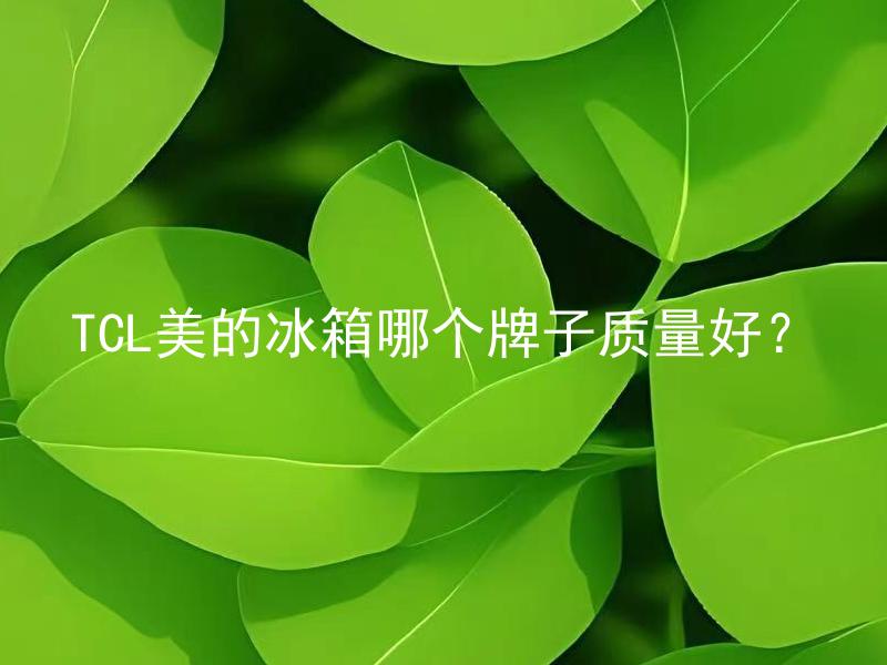 TCL美的冰箱哪个牌子质量好？ 除了TCL和美的，还有哪些冰箱品牌质量较好？