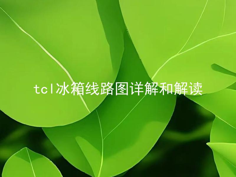 tcl冰箱线路图详解和解读 TCL冰箱线路图中各个部分作用分别是什么？