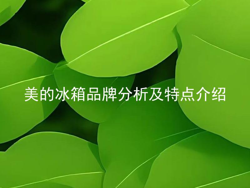 美的冰箱品牌分析及特点介绍