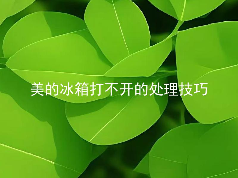 美的冰箱打不开的处理技巧 美的冰箱打不开可能是什么原因？