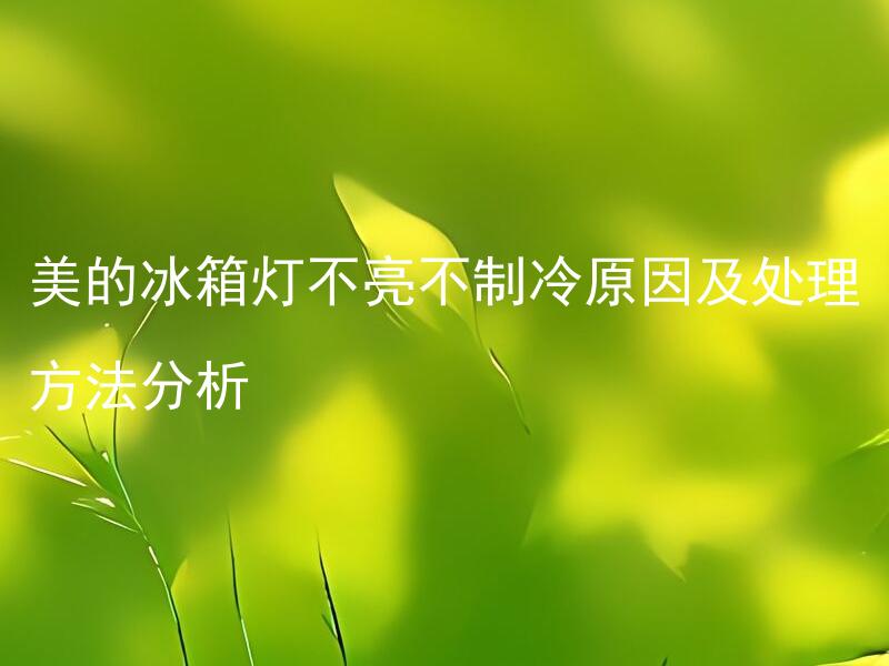 美的冰箱灯不亮不制冷原因及处理方法分析 美的冰箱灯不亮不制冷是何原因引起的，如何正确处理？
