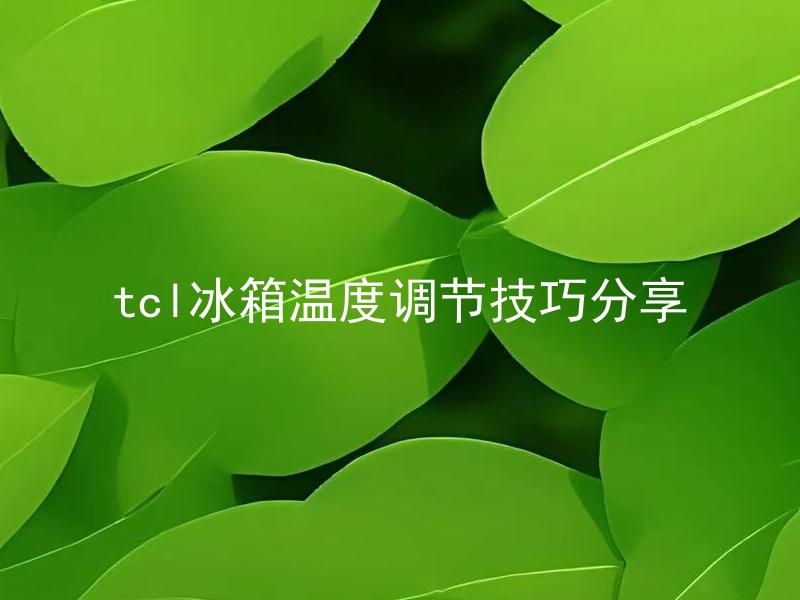 tcl冰箱温度调节技巧分享 tcl冰箱保鲜技巧有哪些？