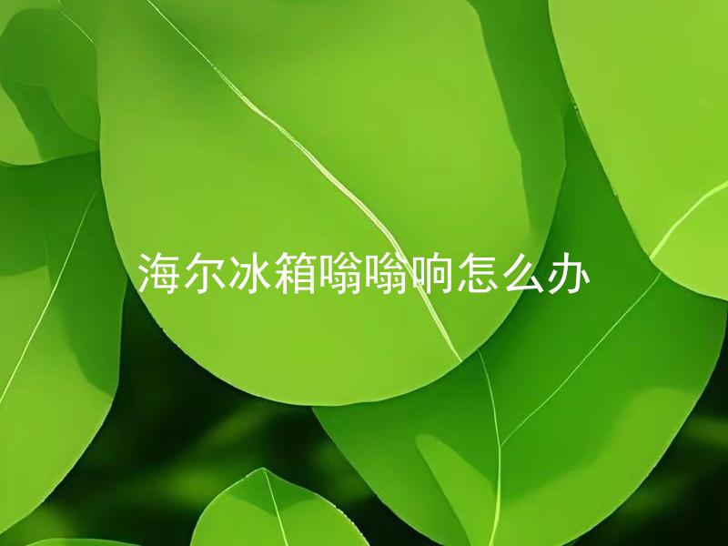 海尔冰箱嗡嗡响怎么办 海尔冰箱嗡嗡响是什么原因，如何解决？