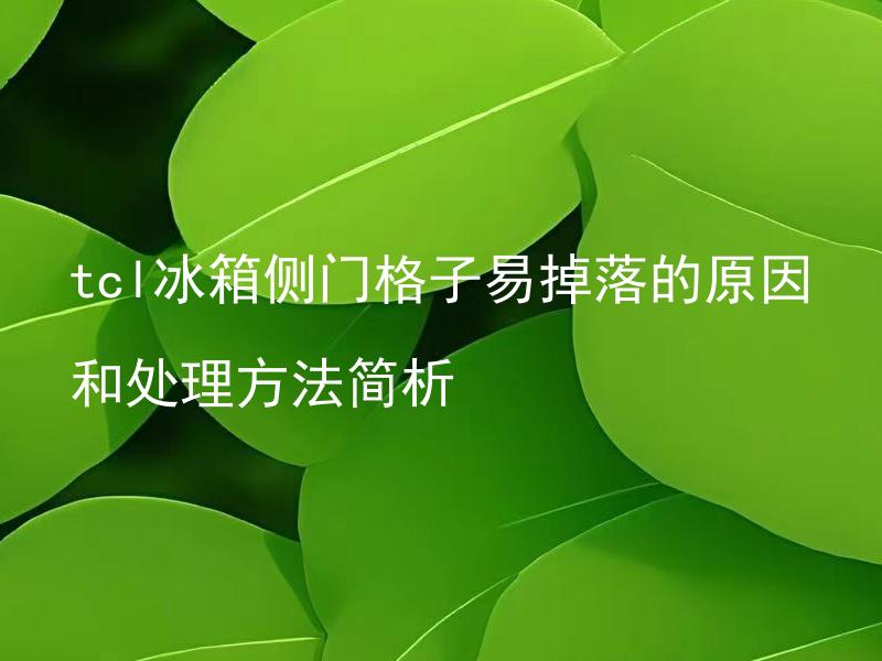 tcl冰箱侧门格子易掉落的原因和处理方法简析 tcl冰箱侧门格子掉落后容易导致哪些问题？