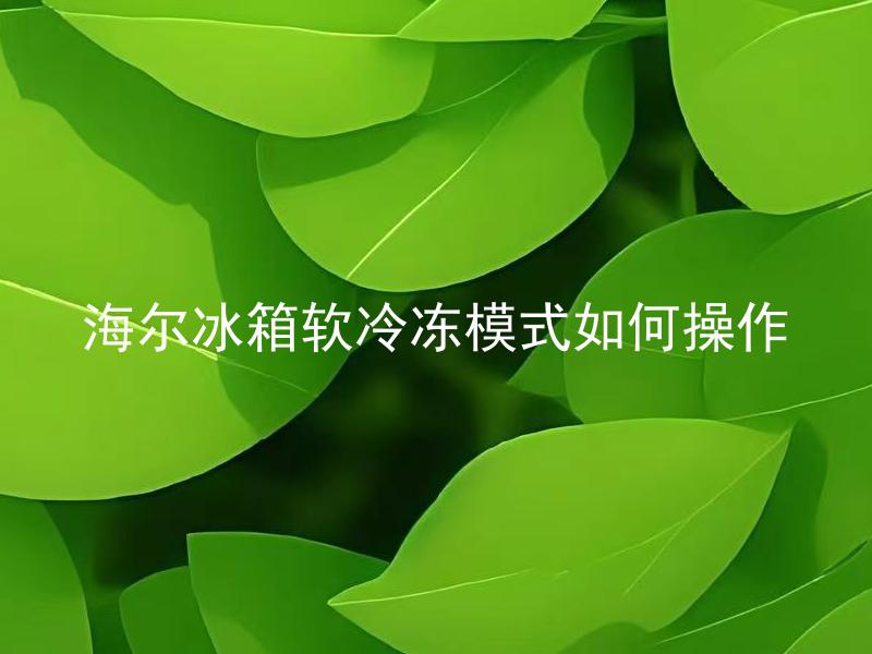 海尔冰箱软冷冻模式如何操作 海尔冰箱软冷冻模式的优点有哪些？