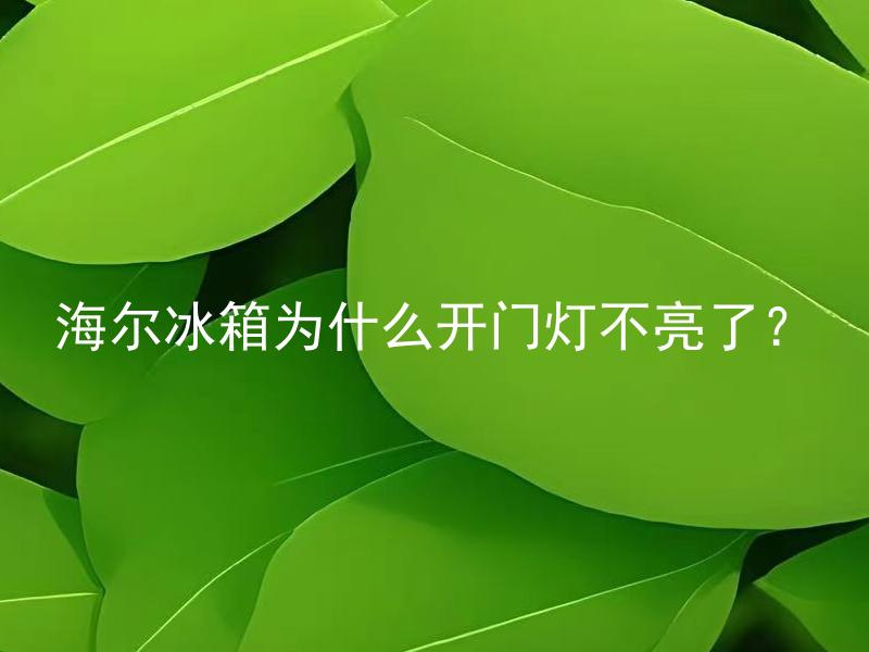 海尔冰箱为什么开门灯不亮了？ 海尔冰箱开门灯不亮是什么原因？