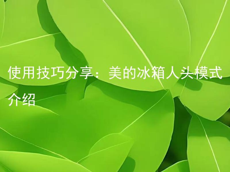 使用技巧分享：美的冰箱人头模式介绍 美的冰箱人头模式如何设置？