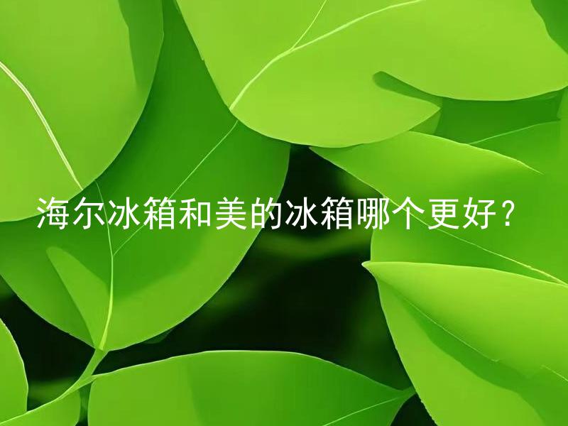 海尔冰箱和美的冰箱哪个更好？ 如何选择适合自己的冰箱品牌：海尔还是美的？